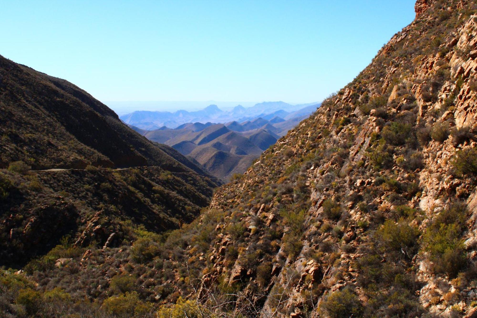 Bosch Luys Kloof Nature Reserve لاديسميث المظهر الخارجي الصورة