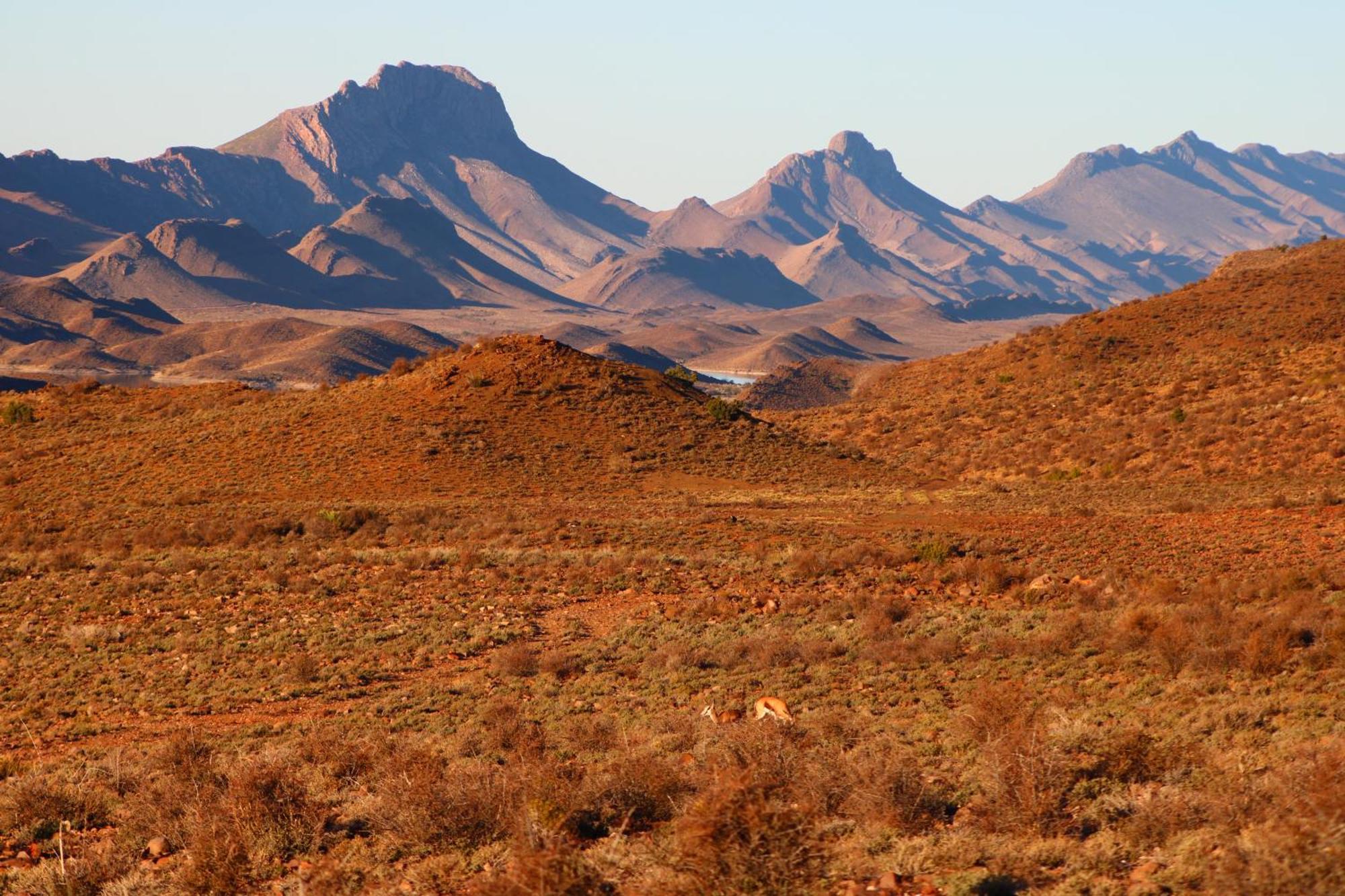 Bosch Luys Kloof Nature Reserve لاديسميث المظهر الخارجي الصورة