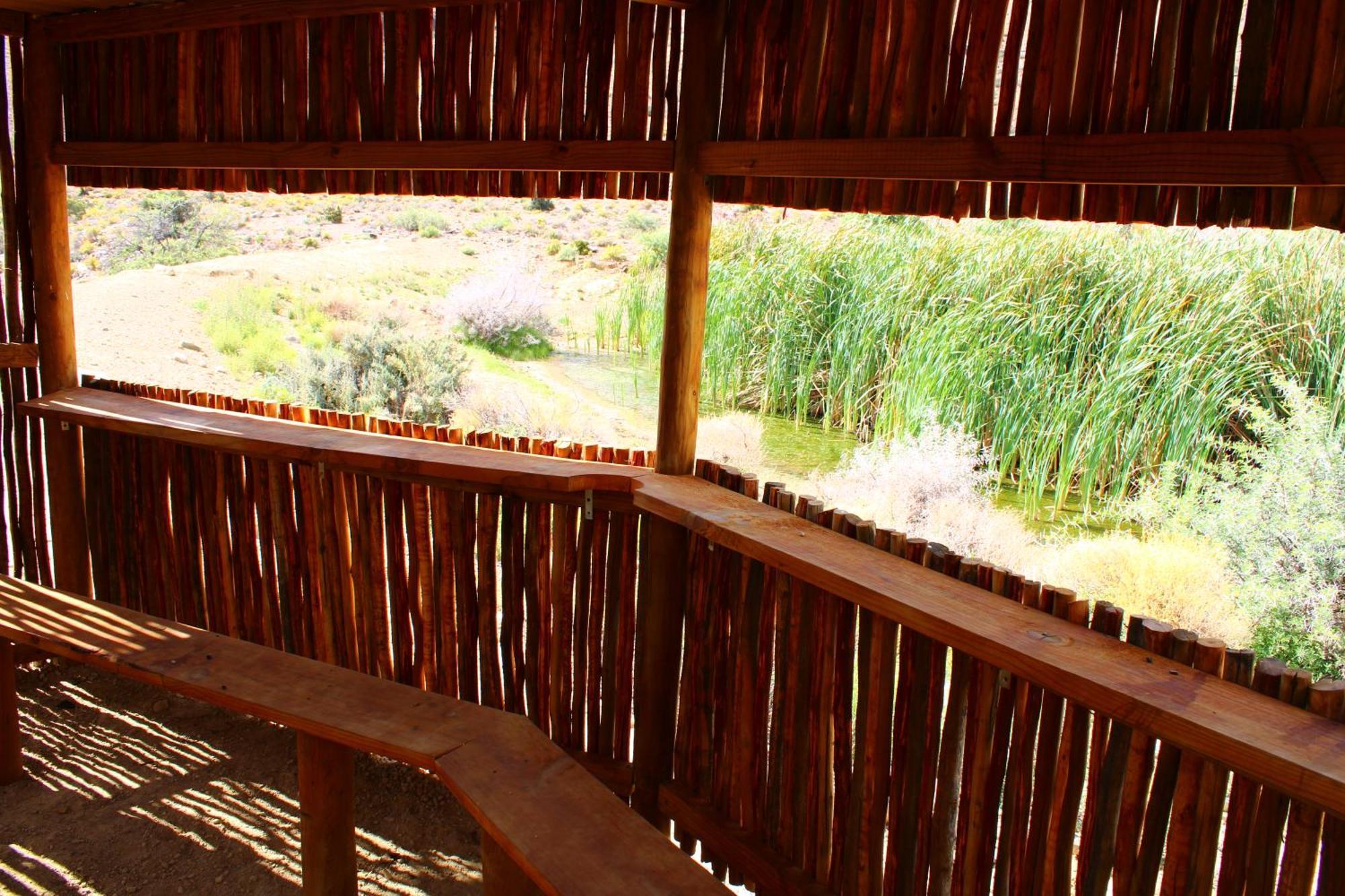 Bosch Luys Kloof Nature Reserve لاديسميث المظهر الخارجي الصورة