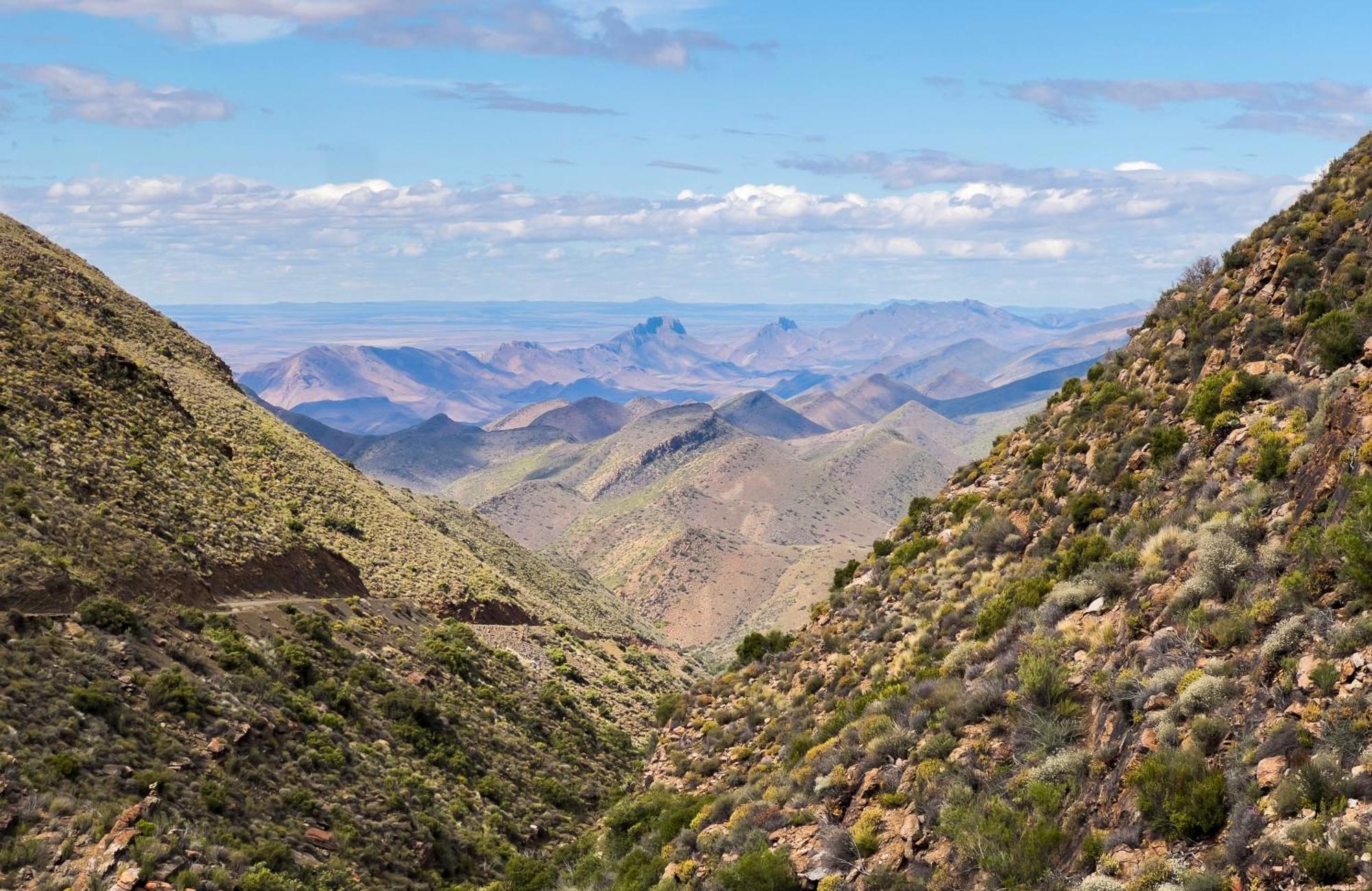 Bosch Luys Kloof Nature Reserve لاديسميث المظهر الخارجي الصورة